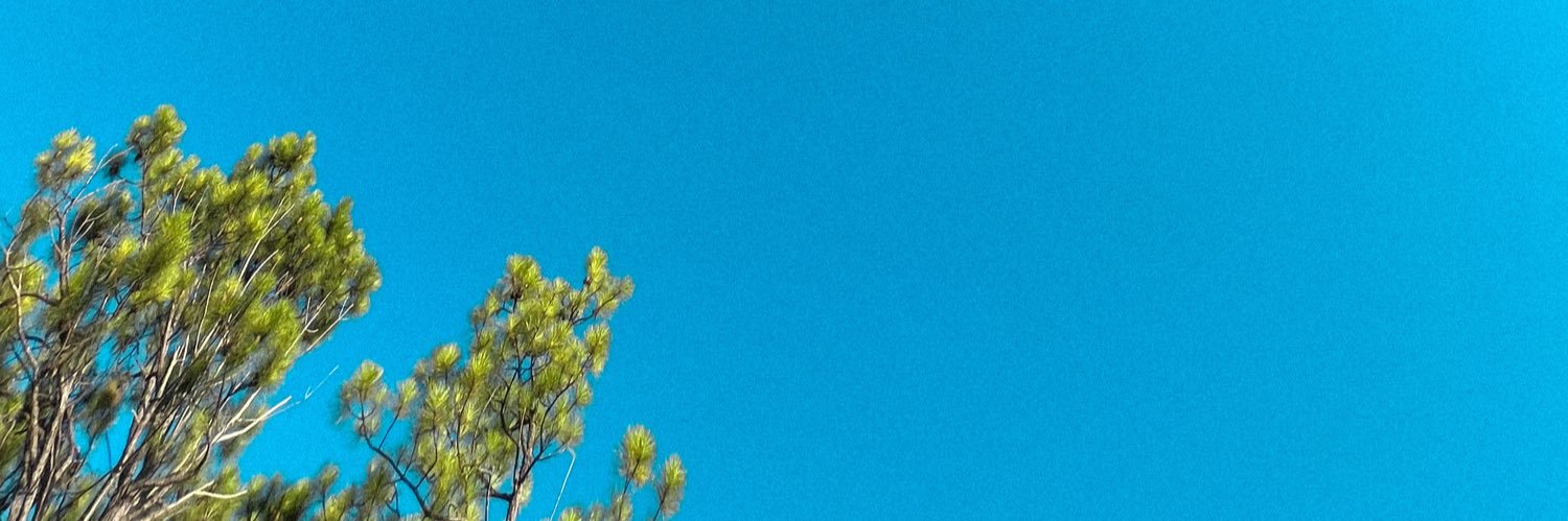 Aguternavasio's profile banner image