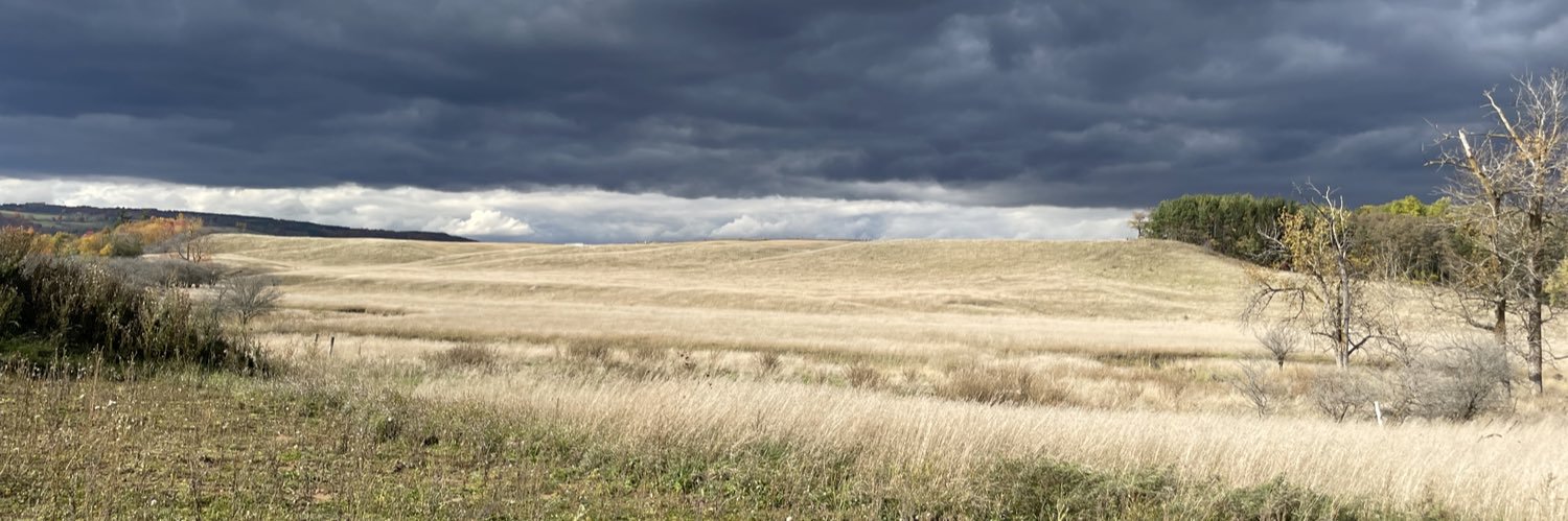 RickUlmer's profile banner image