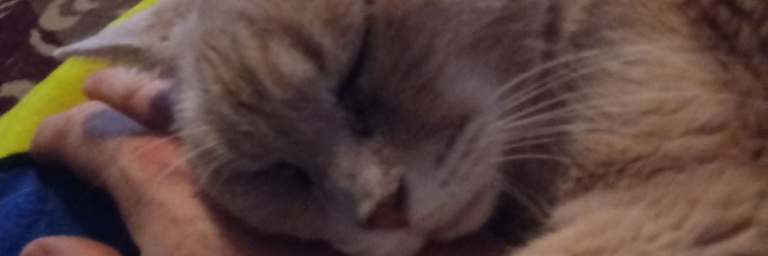 TeaAreAyVeeEyeEss banner