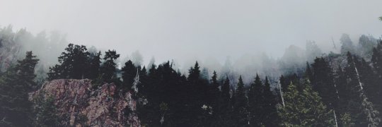_wheelspins's profile banner image