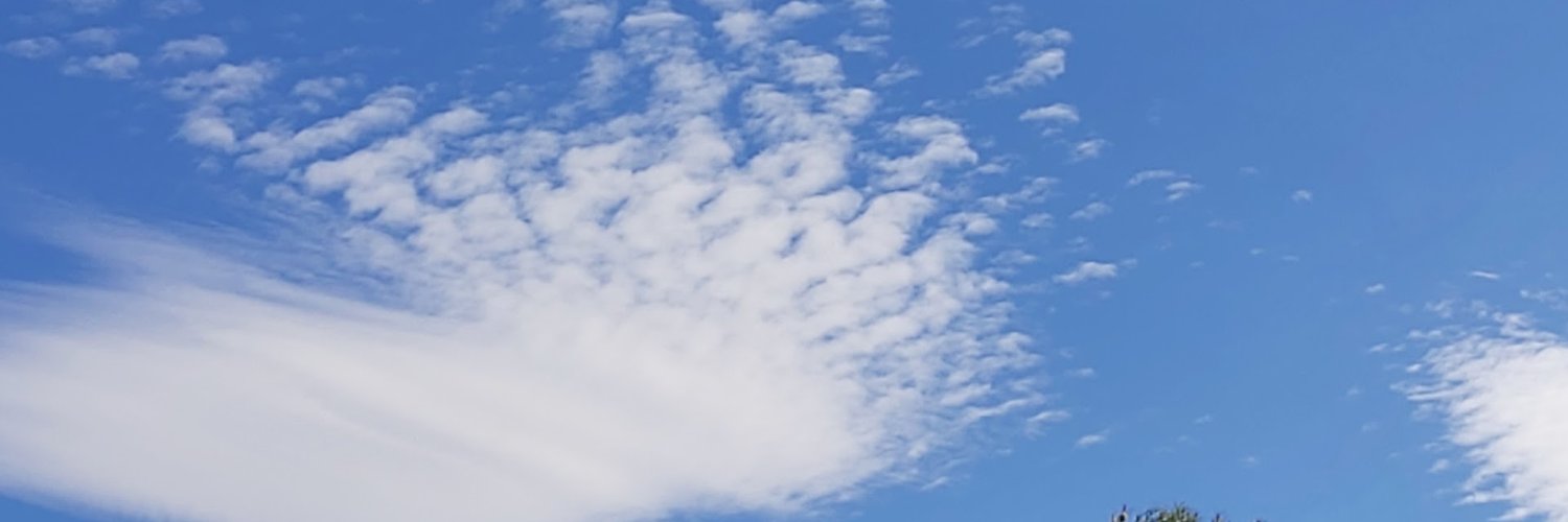 nerianana's profile banner image