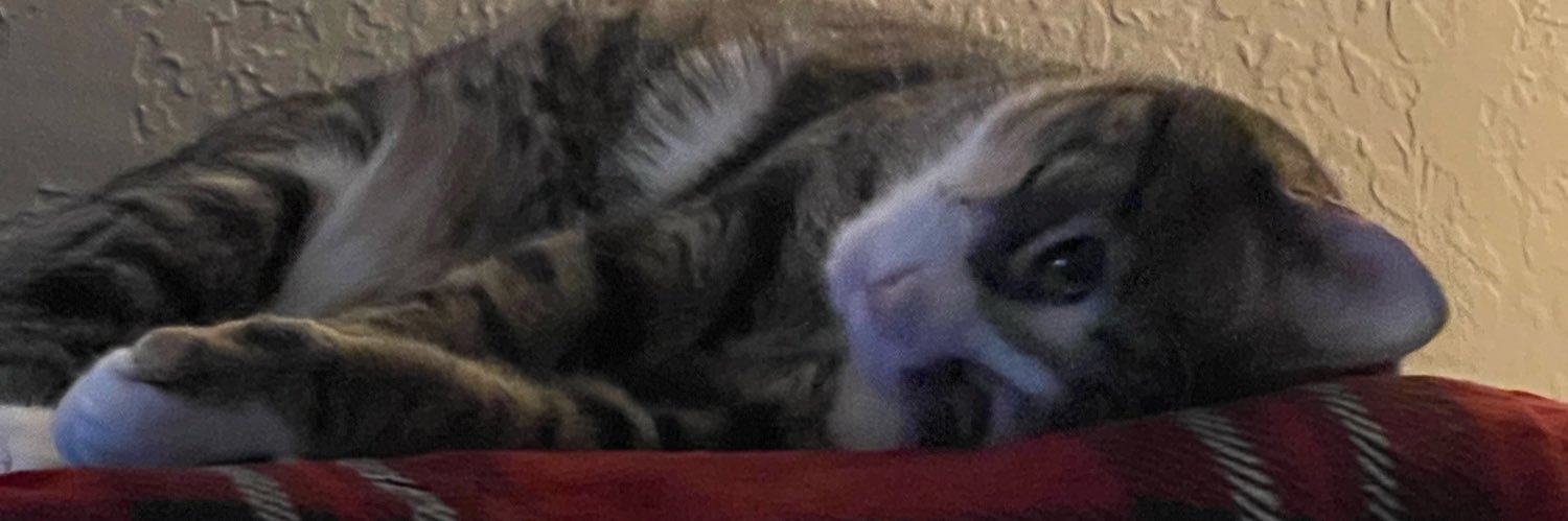 Daniel Fields banner