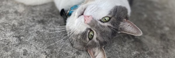 alyssaeidsness Profile Banner