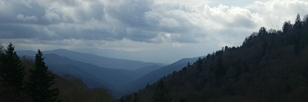KaylaMcIntyre95's profile banner image