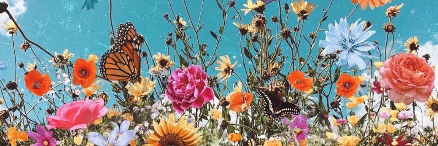 emilygoodman__'s profile banner image
