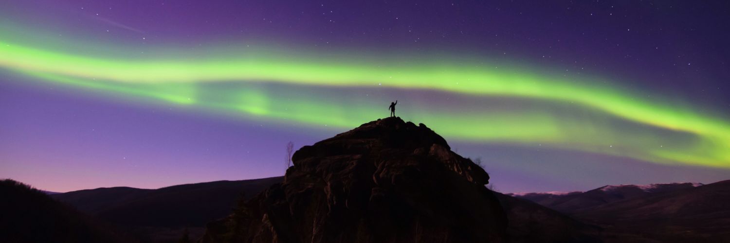 thetoothninja's profile banner image