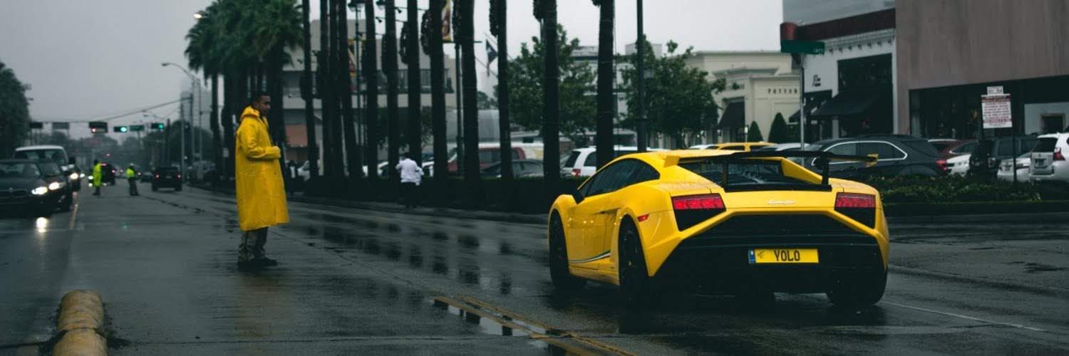 willi$ banner