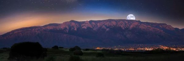 DavidBearshield Profile Banner