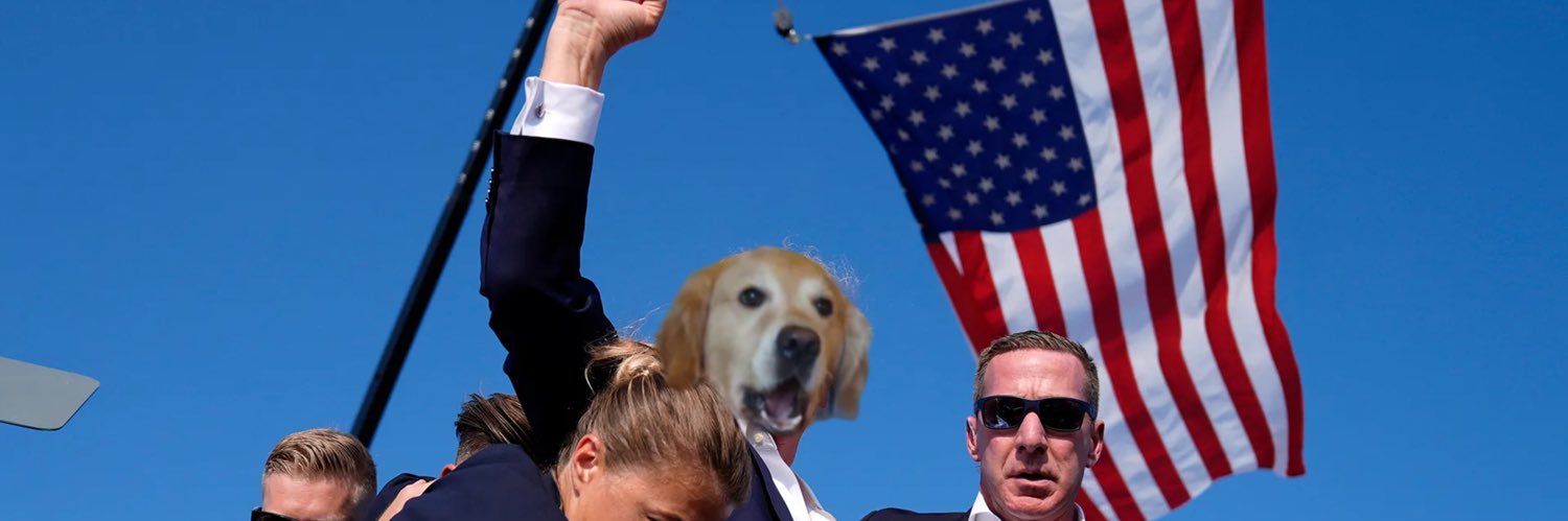 DisoBailey's profile banner image