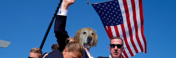 DisoBailey Profile Banner