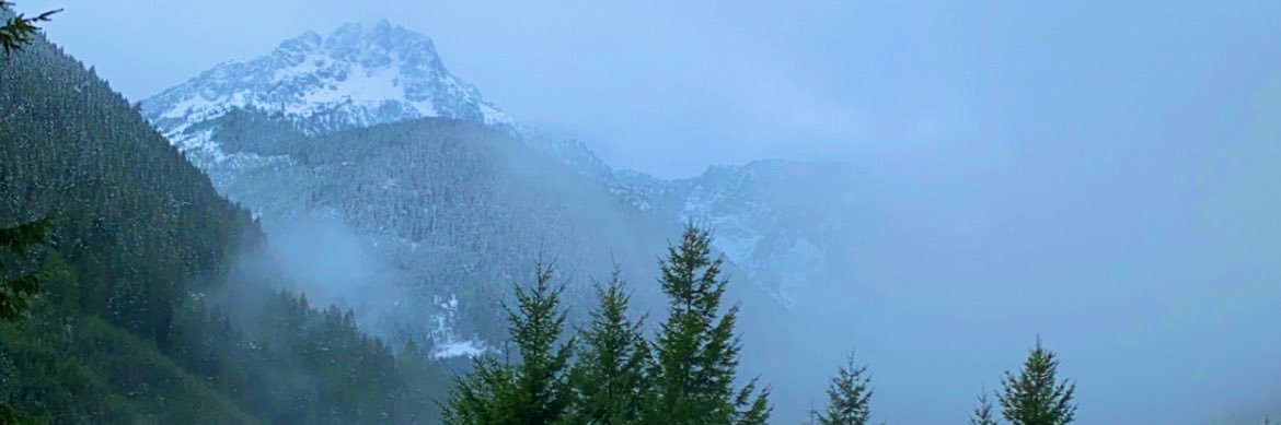 WalkintoWall's profile banner image