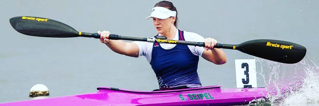 Susan Seipel PLY banner