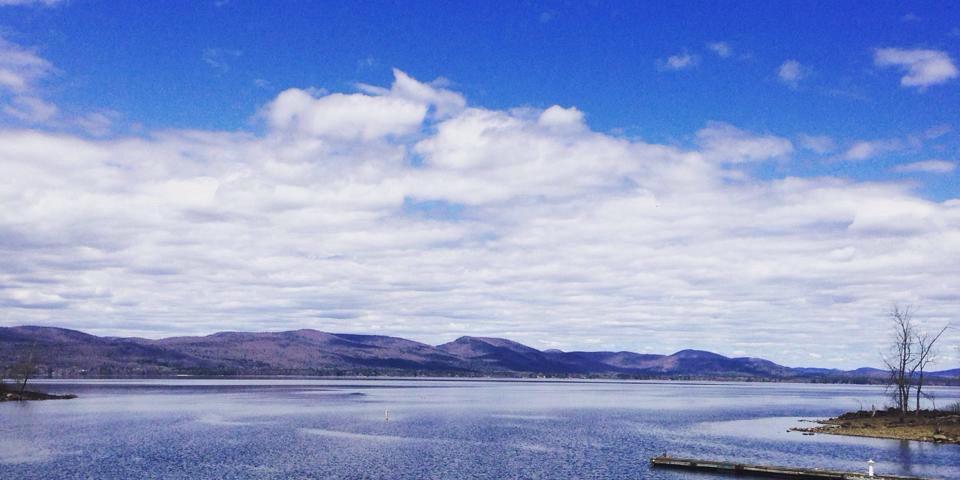 Dr. Lynn Allen banner