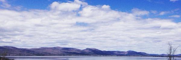 LynnAllenEdD Profile Banner