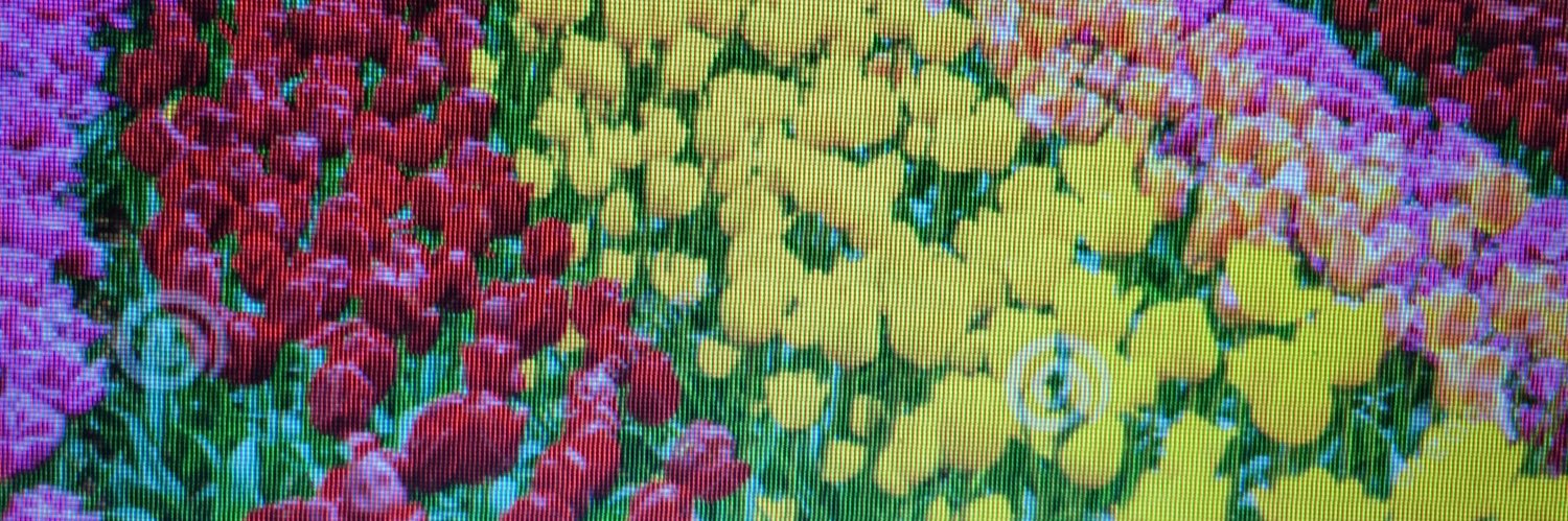 111bbb111's profile banner image