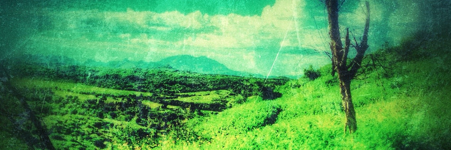 alejandroCaroP's profile banner image