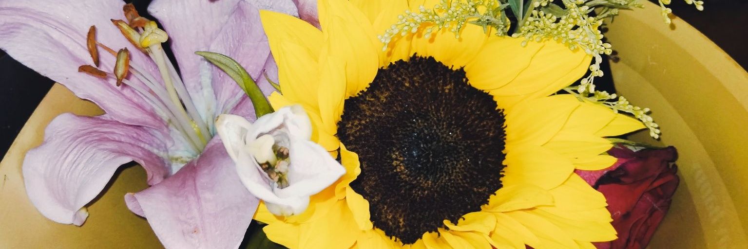 melanieeebch's profile banner image