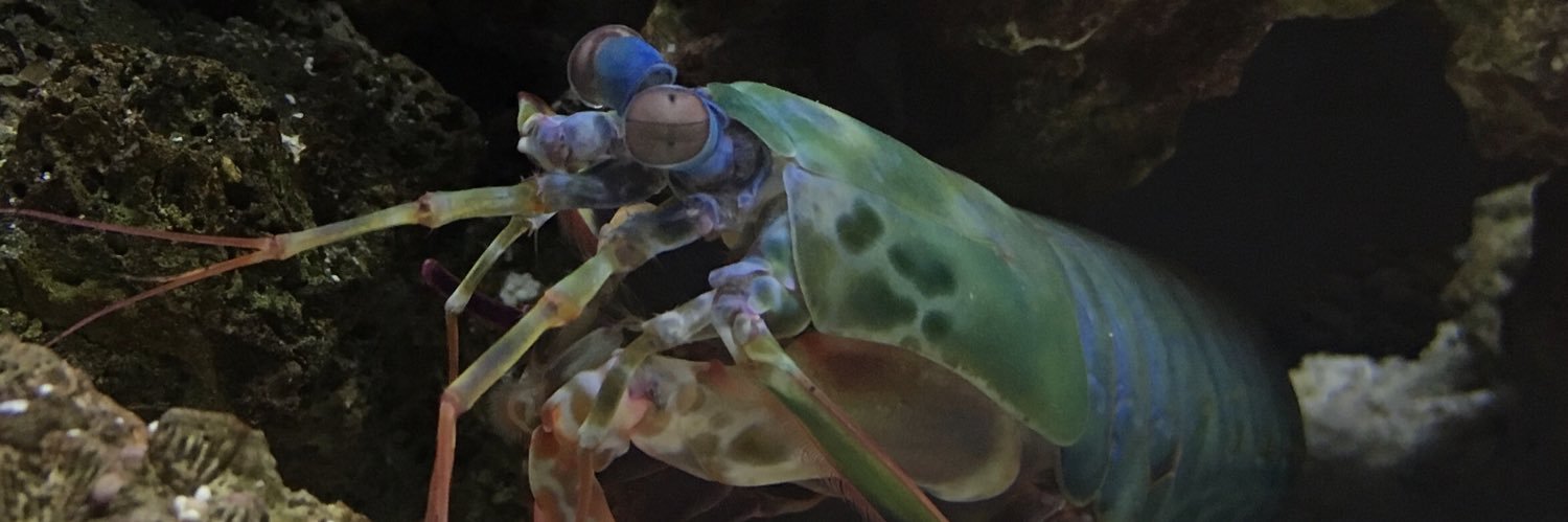 TanyaGetz's profile banner image