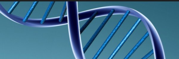 325Kamra Profile Banner