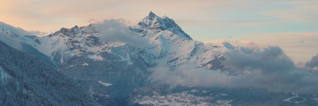 drbethcoke's profile banner image