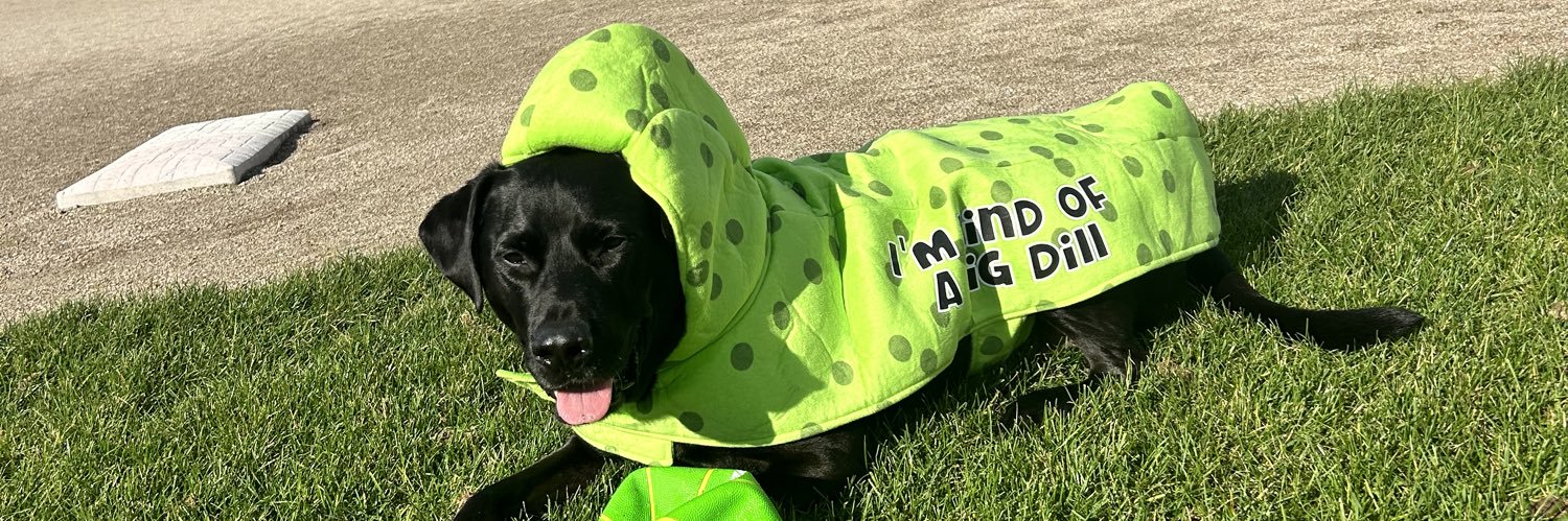 graciwilson's profile banner image