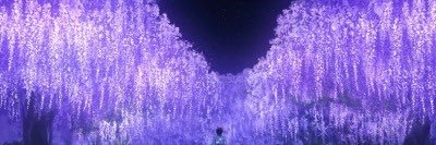 oiledsnapper's profile banner image