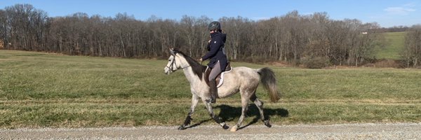 trapsnrabbits Profile Banner