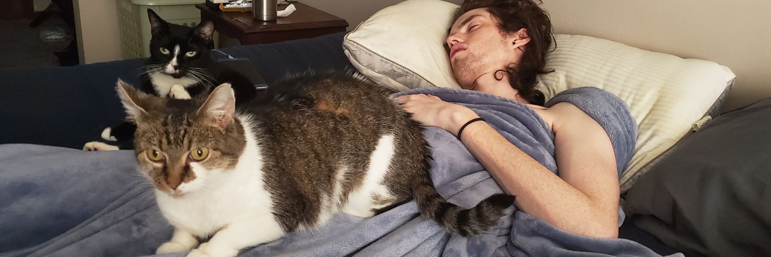 stephhmacc's profile banner image