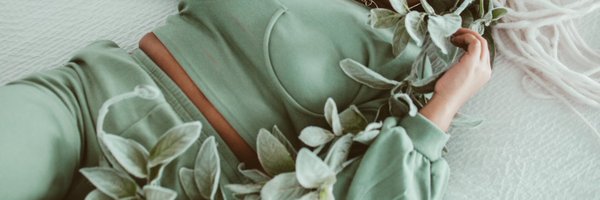 TheBriRay Profile Banner