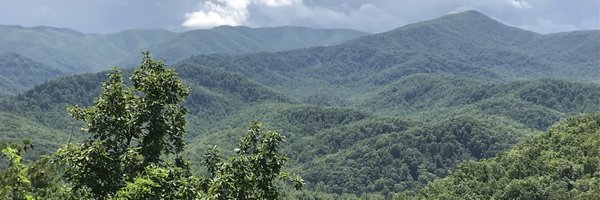 Jksosebee Profile Banner