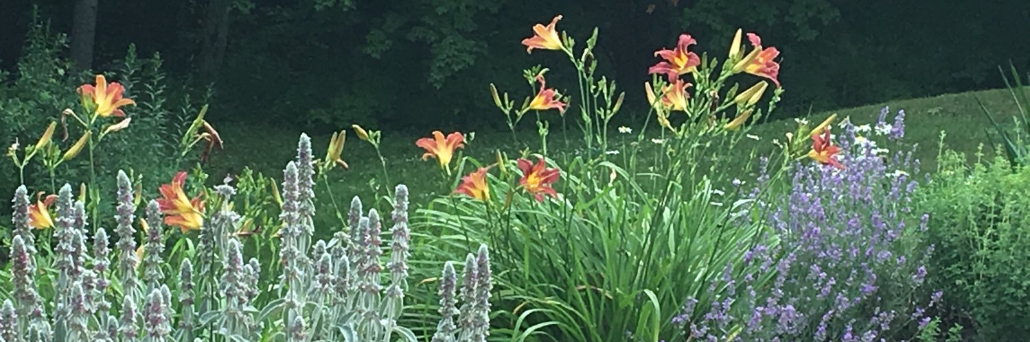 GreyCountyGal's profile banner image