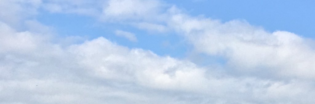 ウォンナ👩🏻✨ banner