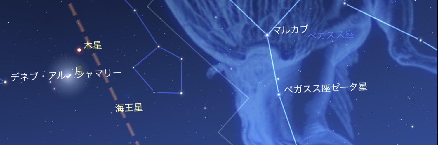 ザャパィ(ﾎﾞｹたがり🌻🍯 banner