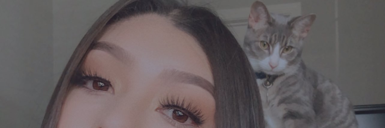 erika_aldean's profile banner image