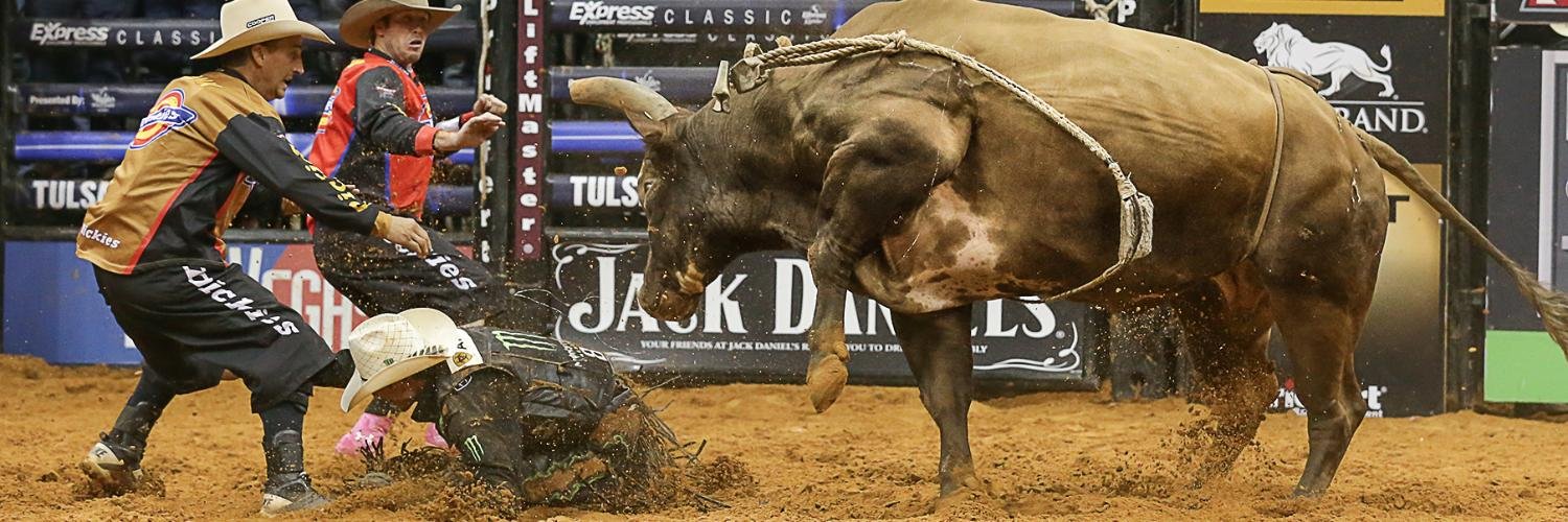 Humps N Horns banner