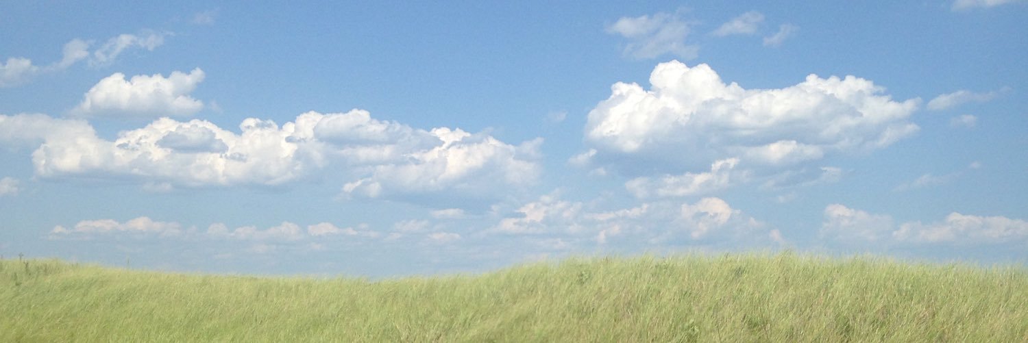 s marisa simonetti banner