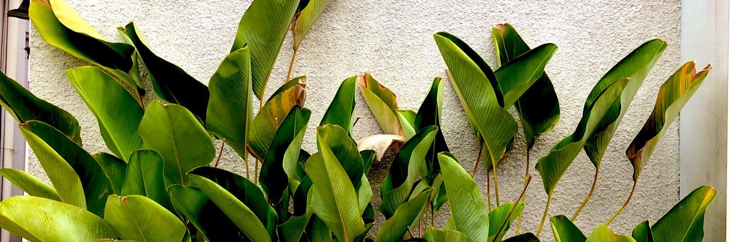RendikaAnggaP's profile banner image