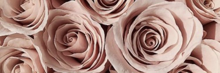 agosmarzocca's profile banner image