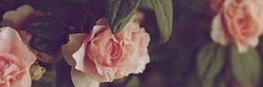 Videos_Maria's profile banner image