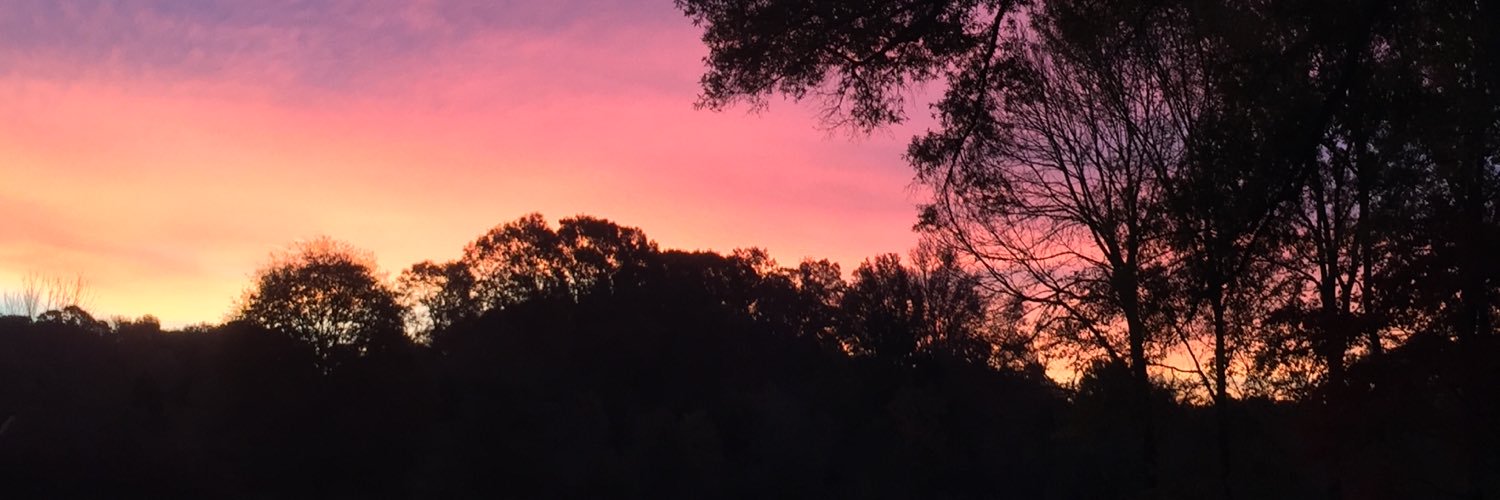 robincolvin's profile banner image