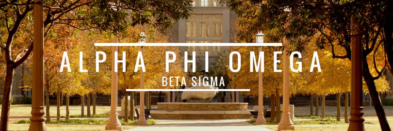 ttuapo's profile banner image