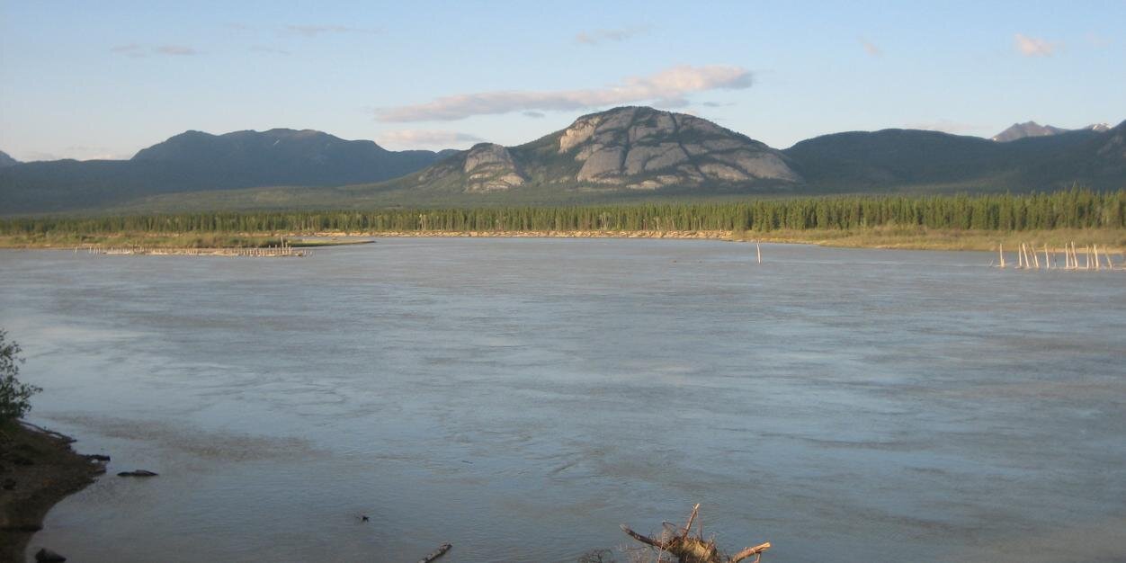 Stephen Bocking banner