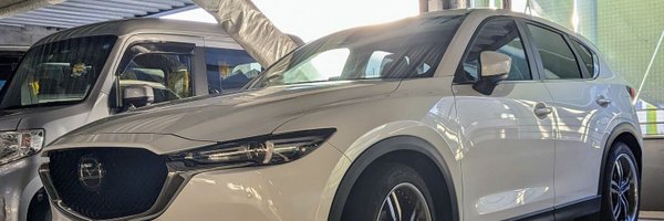 matadoryh Profile Banner