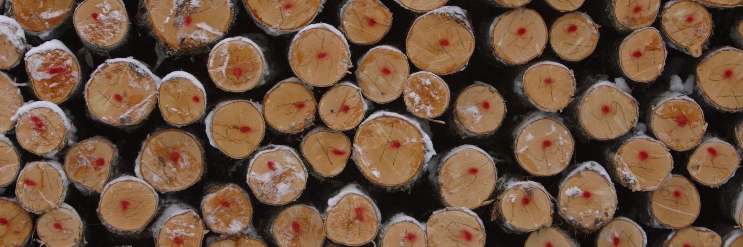 FoodStud's profile banner image