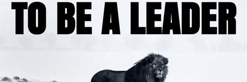 Final916's profile banner image