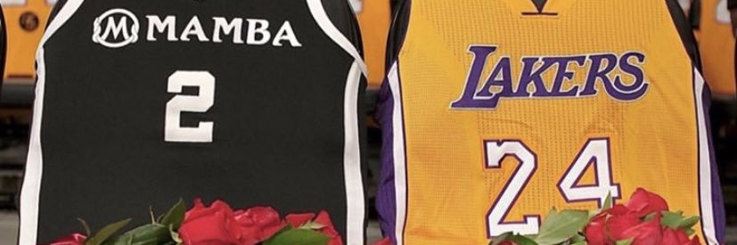BriannaJ banner