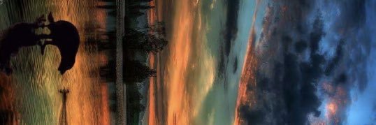 steveN_picC's profile banner image
