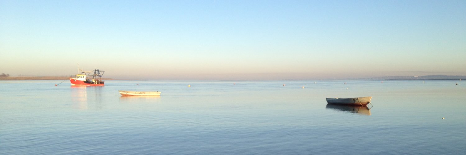 Daniel Reynolds banner