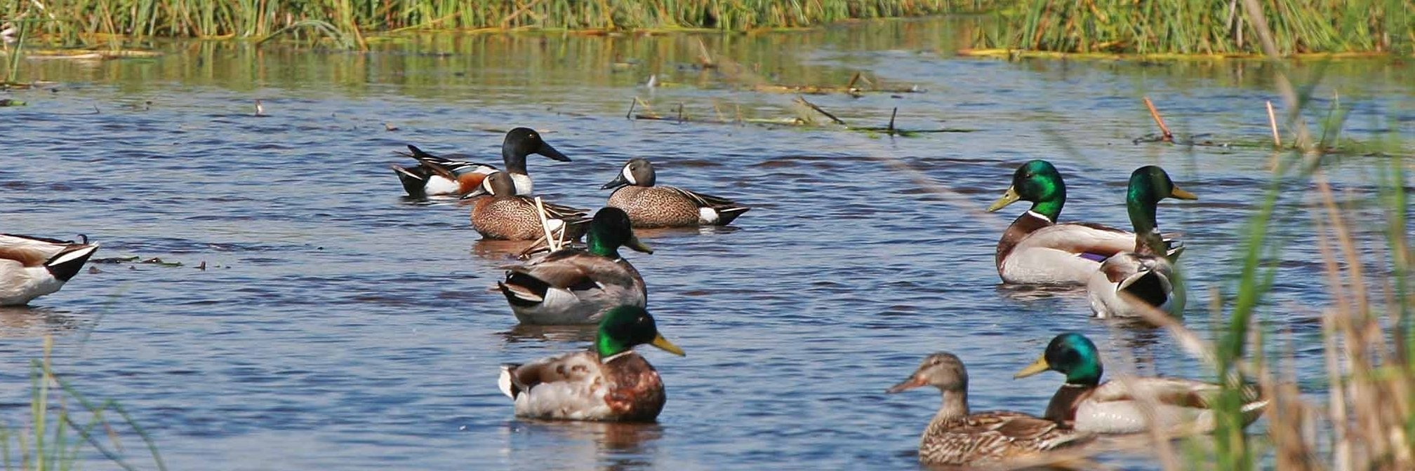 USFWS Refuge System banner