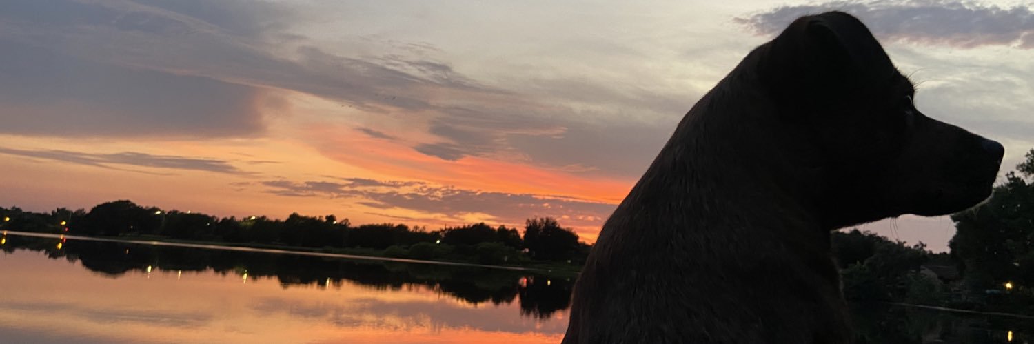 JayfuckingJay's profile banner image